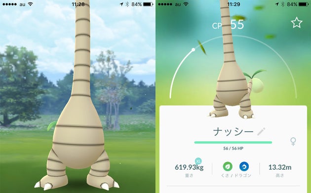 ポケモンgoにアローラナッシー出現 任天堂スイッチ版ポケモン新作発表 ハフポスト