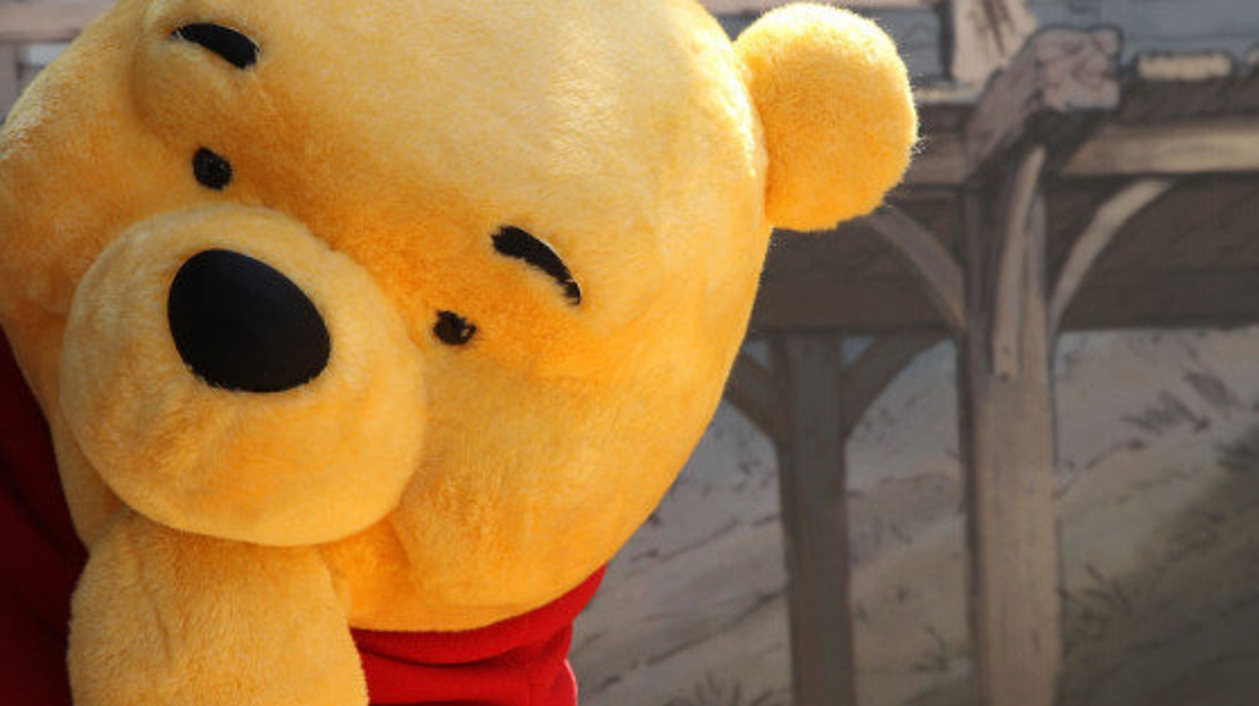 くまのプーさん 出入り禁止にすべき ポーランド地方議員 ハフポスト News