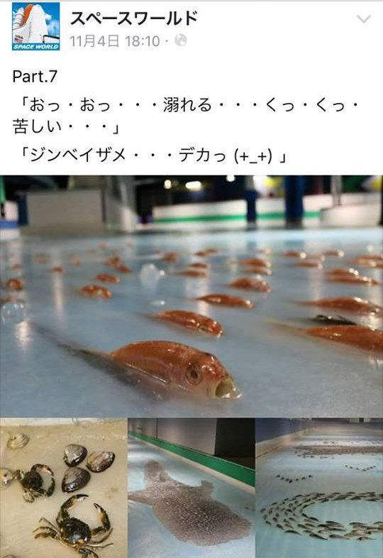 数量限定】 アイスにゃん魚 ecousarecycling.com