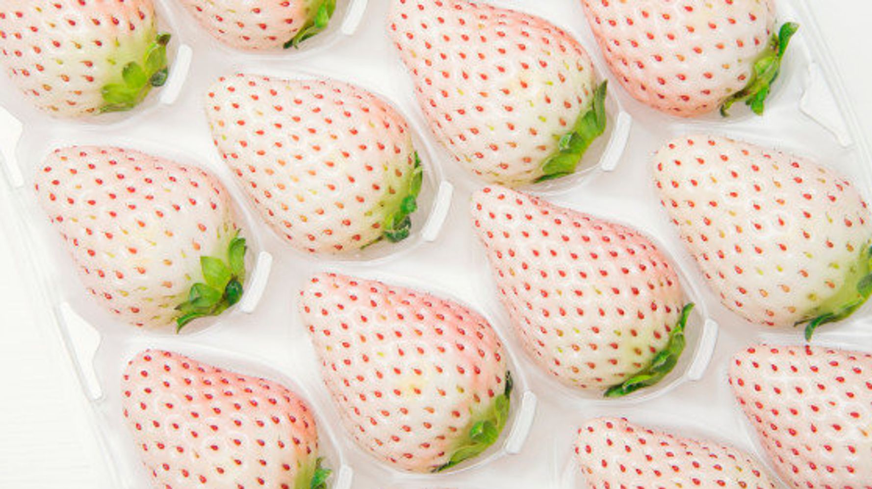 世界が絶賛 日本の白いイチゴ すごい ハフポスト News