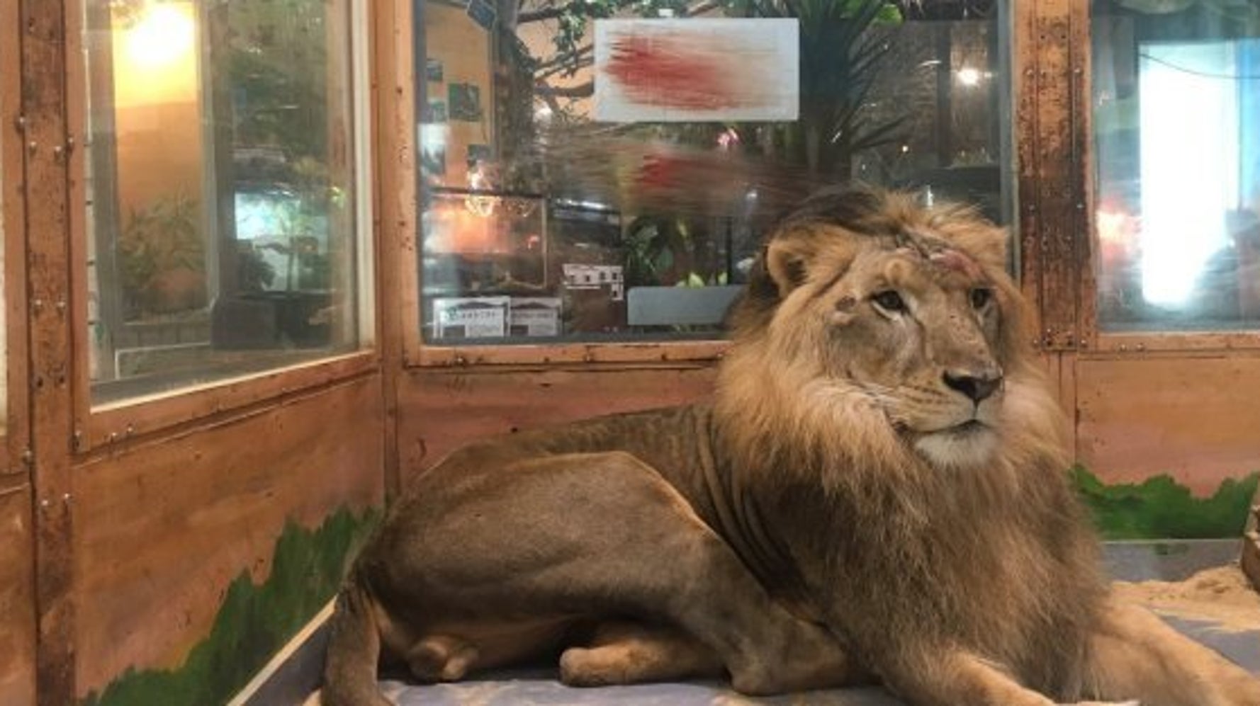 おすすめ特集 切り絵アート オスライオン Www Thewalldogs Com