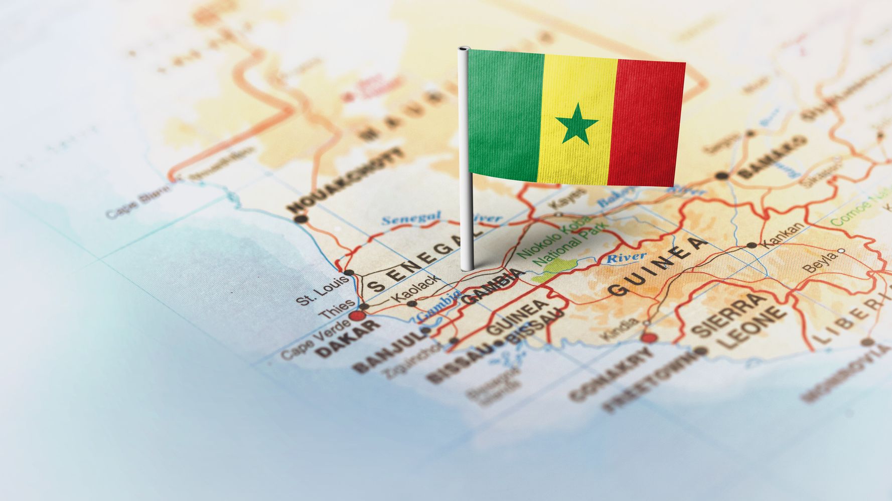 セネガルってどんな国 タコの輸出で日本を救うかも ハフポスト News