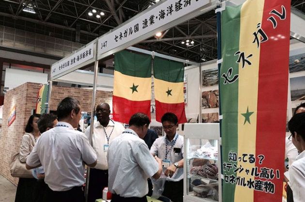 セネガルってどんな国 タコの輸出で日本を救うかも ハフポスト