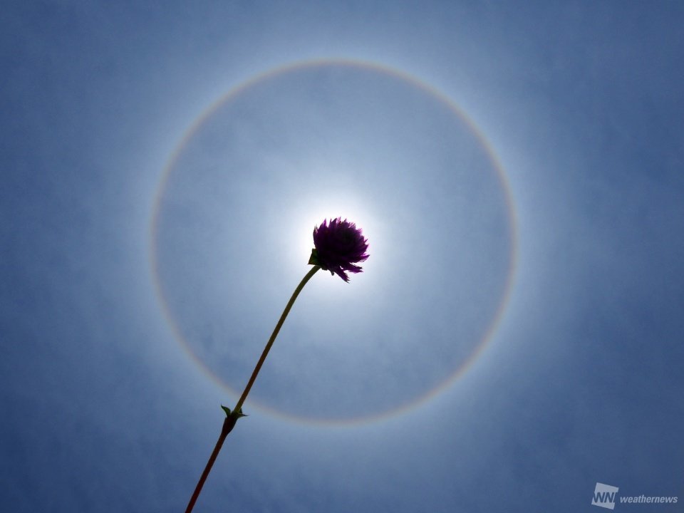 太陽の周りに虹色の輪が出現。名古屋や福岡など広範囲で | ハフポスト NEWS