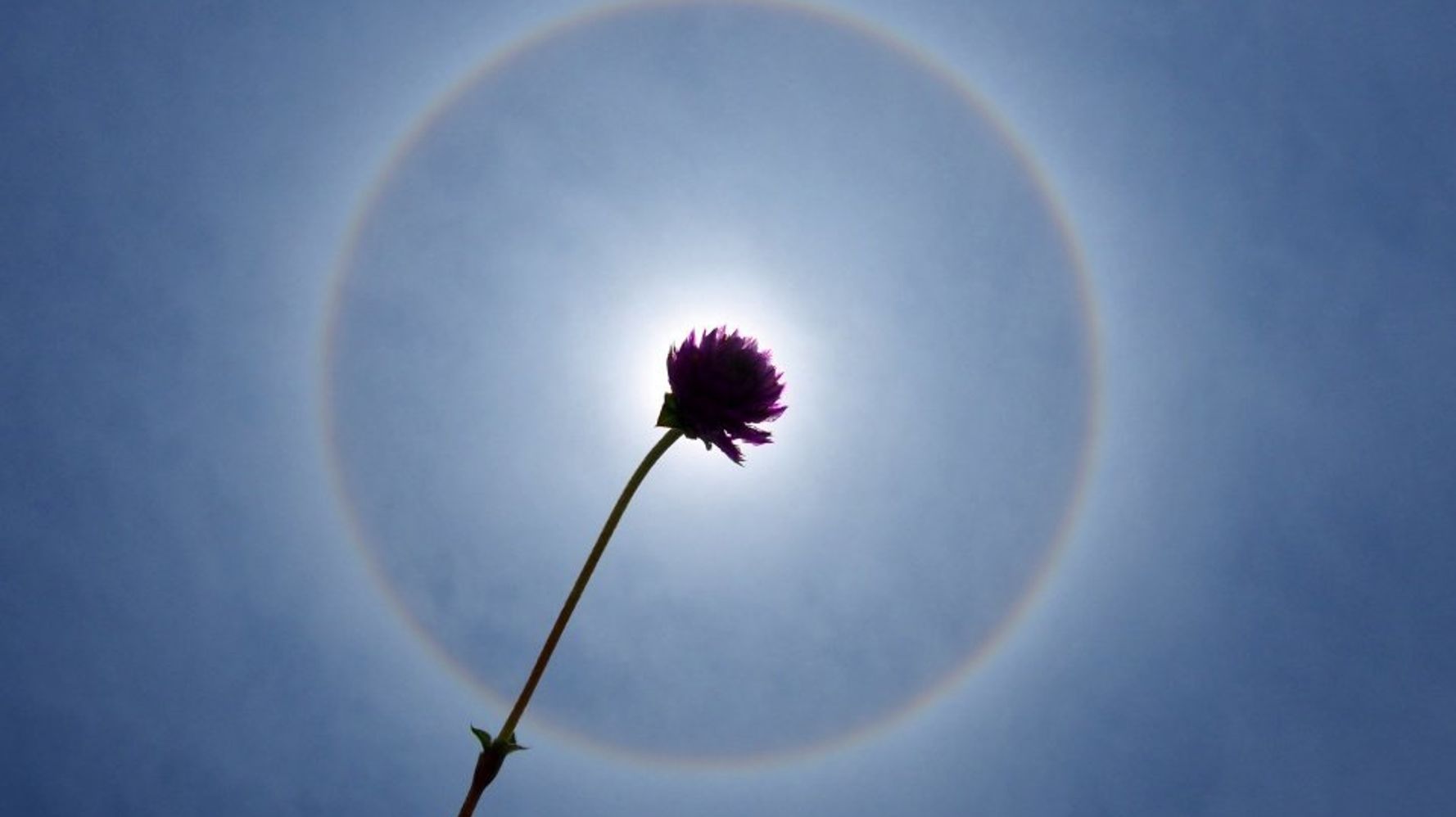 太陽の周りに虹色の輪が出現 名古屋や福岡など広範囲で ハフポスト