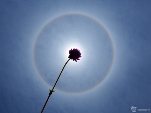 太陽の周りに虹色の輪が出現 名古屋や福岡など広範囲で ハフポスト