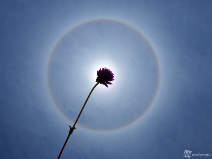 太陽の周りに虹色の輪が出現 名古屋や福岡など広範囲で ハフポスト