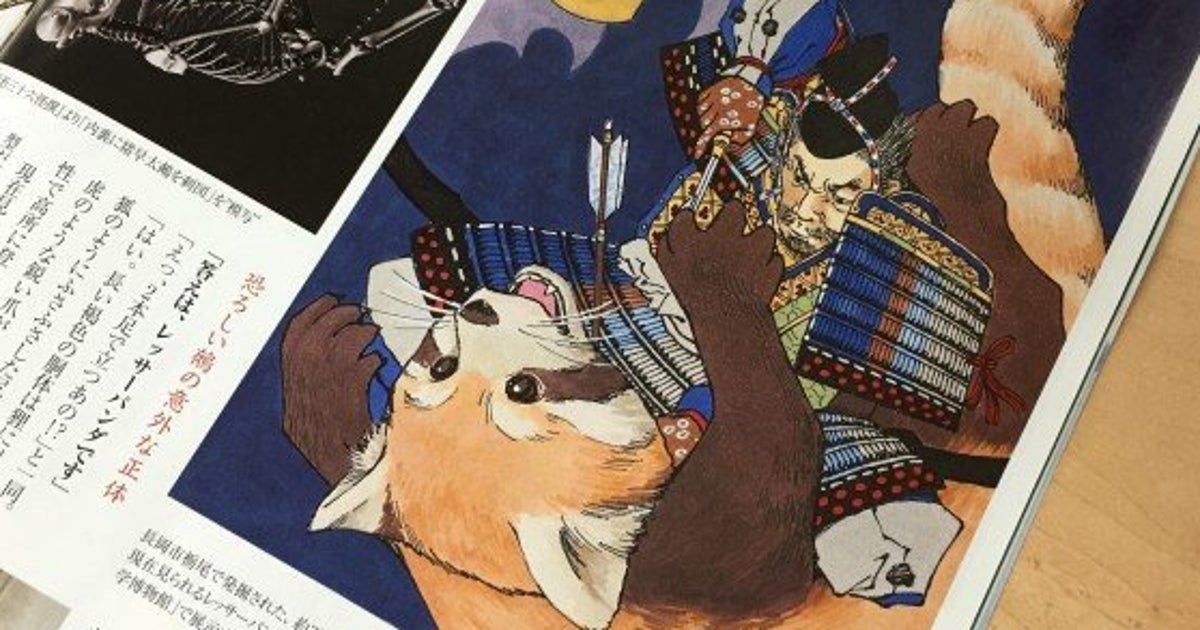 妖怪 ヌエ の正体はレッサーパンダ 古生物学者が大胆な仮説 ハフポスト