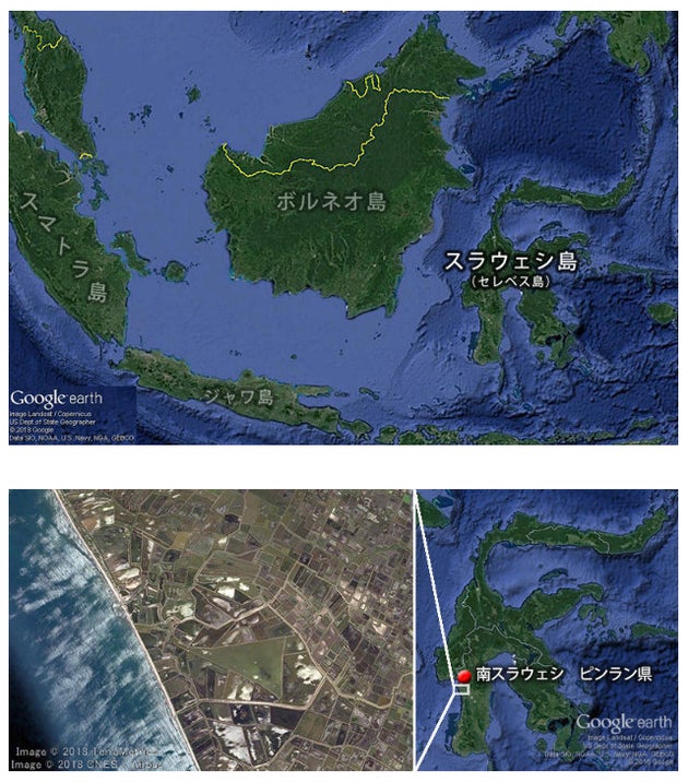 インドネシア スラウェシ島 エビ養殖業改善プロジェクト ハフポスト