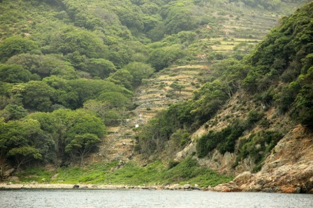 野崎島の舟森集落跡。野崎島は神道の聖地で、神官を中心とする氏子たちが暮らしていた。そのため、島に渡った潜伏キリシタンたちは、島の未開の地に新たに舟森集落を築いた。同集落跡は、世界文化遺産に登録される見通しとなった「長崎と天草地方の潜伏キリシタン関連遺産」（長崎、熊本）の構成資産のひとつ、「野崎島の集落跡」の一部＝３１日、長崎県小値賀町 