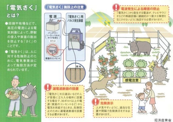 電気柵 なぜ死亡事故に 他の場所の柵は問題ないの ハフポスト