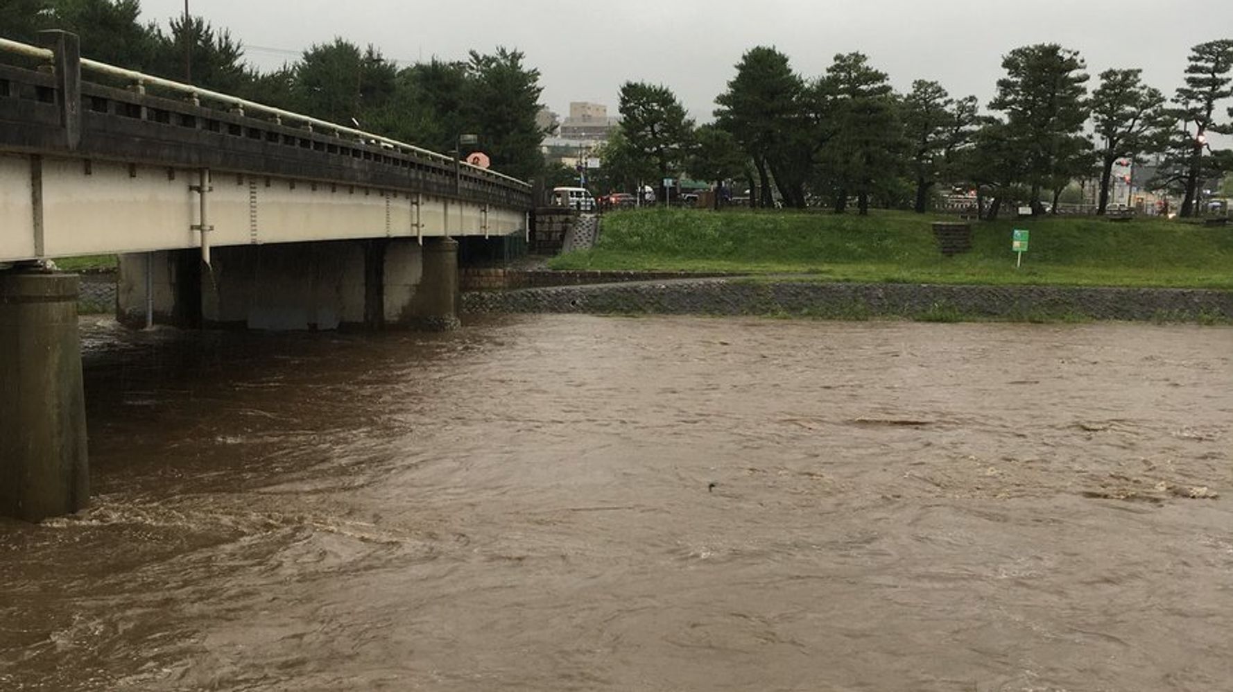 京都の鴨川にオオサンショウウオ 大雨による増水で流されてきたか 動画 ハフポスト