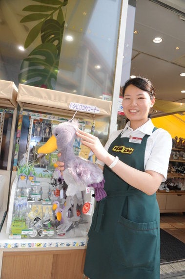 意外と動く ハシビロコウの人気上昇中 上野動物園のグッズ販売はパンダに次ぐ ハフポスト News