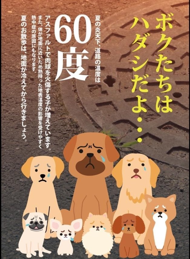 ボクたちはハダシだよ 炎天下の犬の散歩は肉球の火傷のもと ペット保護団体が呼びかけ ハフポスト