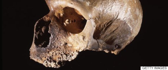 猿人｢ルーシー｣の300万年前の死因が明らかに「彼女の人間味がより増してきた」