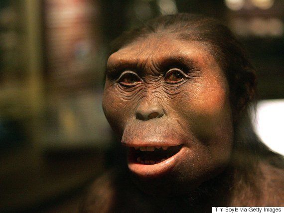 猿人 ルーシー の300万年前の死因が明らかに 彼女の人間味がより増してきた ハフポスト