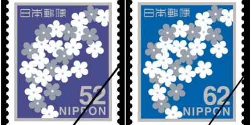 5c639bcb24000093024b1671.jpeg?