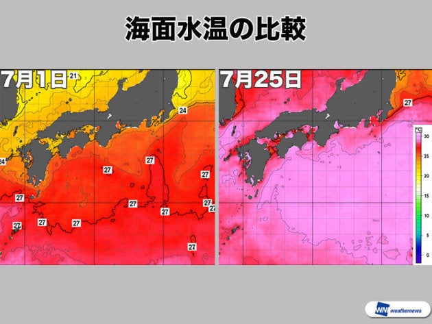 海面水温の比較