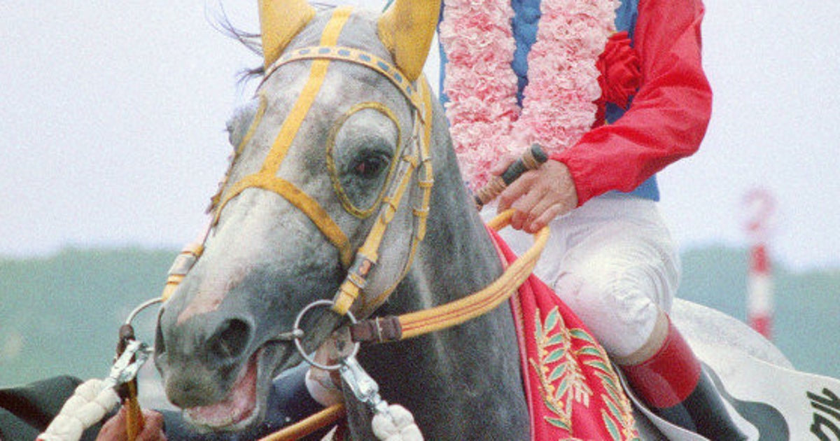 ウィナーズサークル、30歳で死す「暑さには勝てず」 1989年の