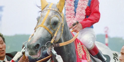 ウィナーズサークル、30歳で死す「暑さには勝てず」 1989年の