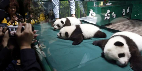 5c639c67260000d202fd95c6.jpeg?