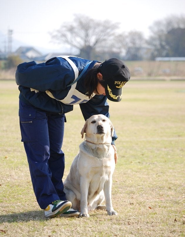 山田さんと挑んだ試験で緊張し、耳がペタンコになっているきな子