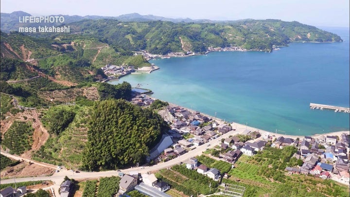 青く輝く海と、土砂崩れ跡が目立つミカン畑。