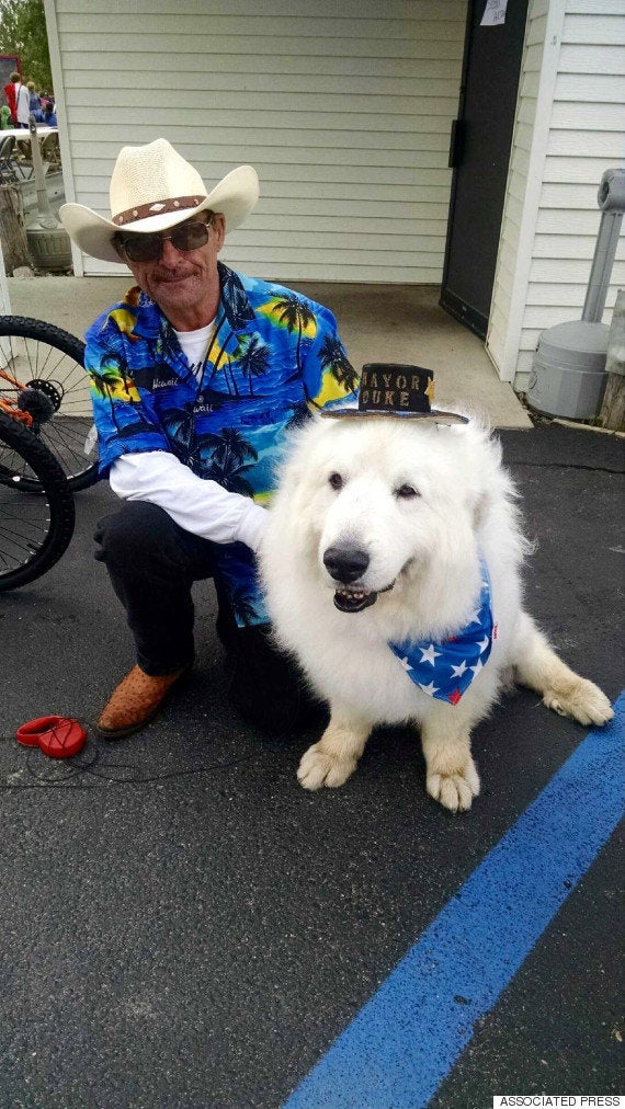 かわいすぎる犬の市長 圧倒的支持で3選を果たす 画像 ハフポスト