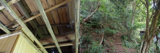 屋根や裏山への道など、安全に使うには整備が必要だ