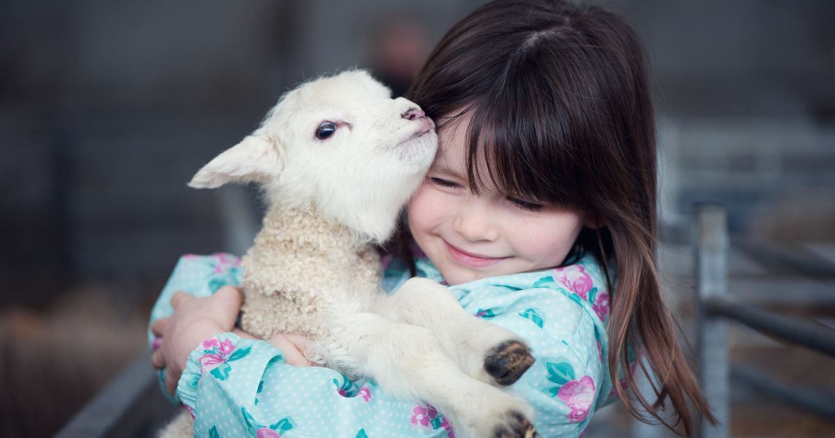 8月9日はハグの日 人間と動物がハグする画像集に癒される ハフポスト