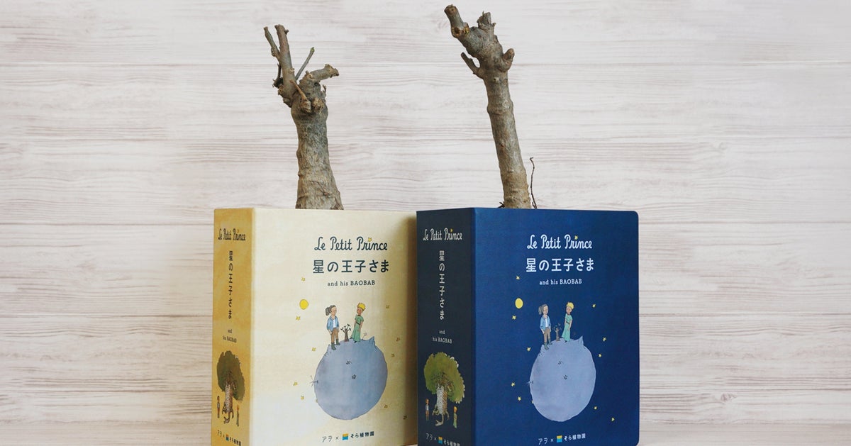 星の王子さま と西畠清順さんがコラボしたバオバブの苗木が販売中止 ハフポスト 星の王子さま と西畠清順さんがコラボしたバオバブの苗木が販売中止 ハフポスト