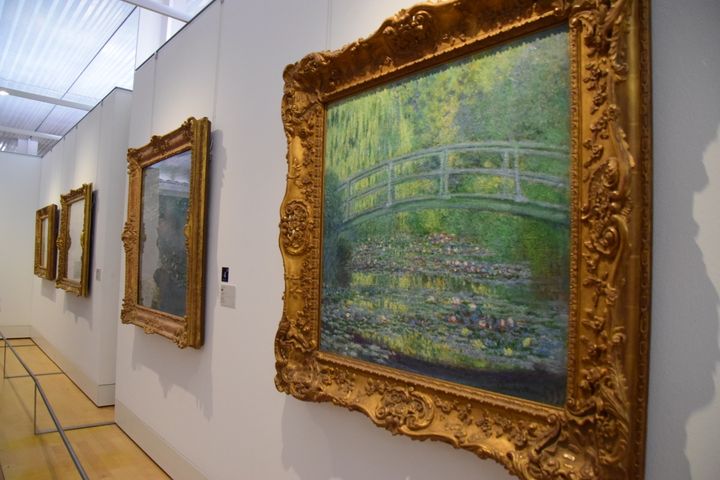 「睡蓮」などで有名な同年代のモネは、印象派画家としてルドンのデビュー前から有名になっていた