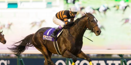 5c63a0de260000d202fd9a69.jpeg?