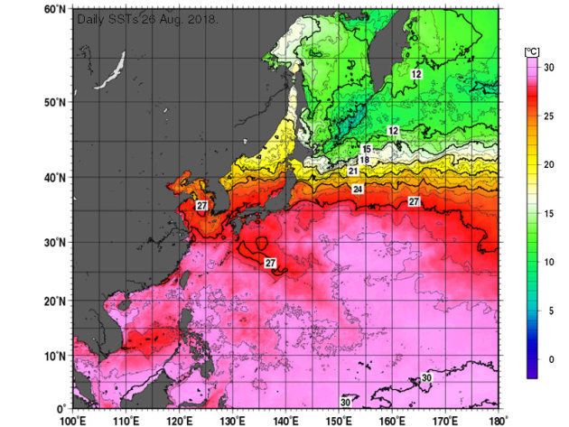 26日(日)時点の海水温の様子（気象庁より）