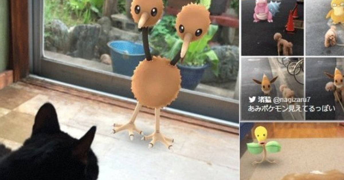 ポケモンの姿 ペットには見えているのか 画像集 ハフポスト