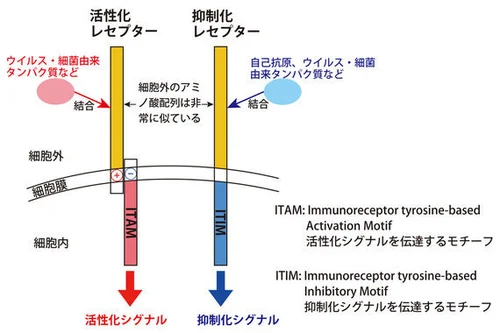 5c63a19c2500004401c84c4b.jpeg?