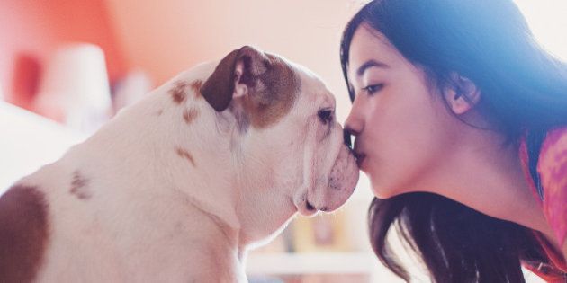 Brunette teenager girl kissing her bulldog puppy.