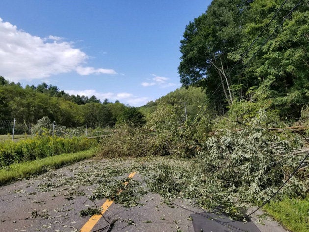 倒木でふさがれた厚真町へ続く道道59号＝北海道むかわ町