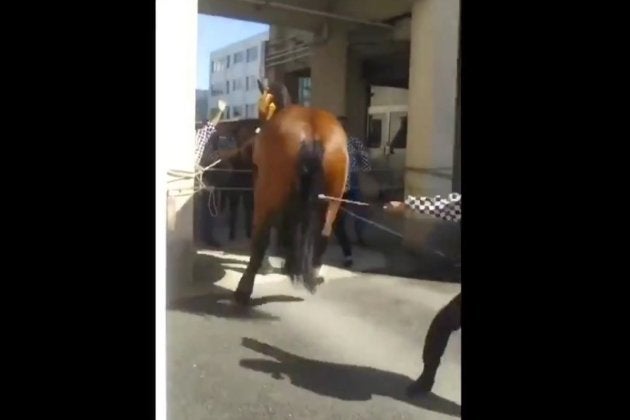 藤崎八旛宮の例大祭で馬虐待か ムチ打ちして 後ろ蹴り させる動画が拡散 ハフポスト