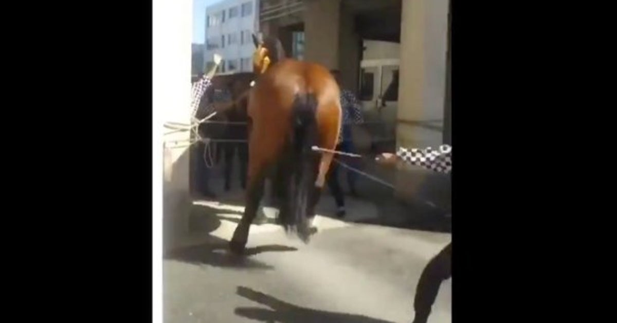 盗まれた馬 5c63a5803b000033046b42a8.jpeg?