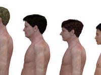 30代男性の 体型 をcgで再現 日本は欧米より おなかの出っ張り が少ない ハフポスト