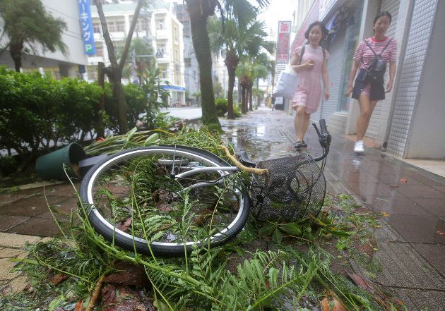 台風２４号の強風で倒れた自転車と折れた枝＝２９日午後、那覇市