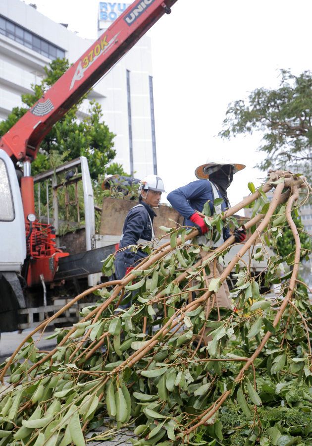 台風24号の強風で倒れた街路樹を撤去する作業員＝30日午前、那覇市 