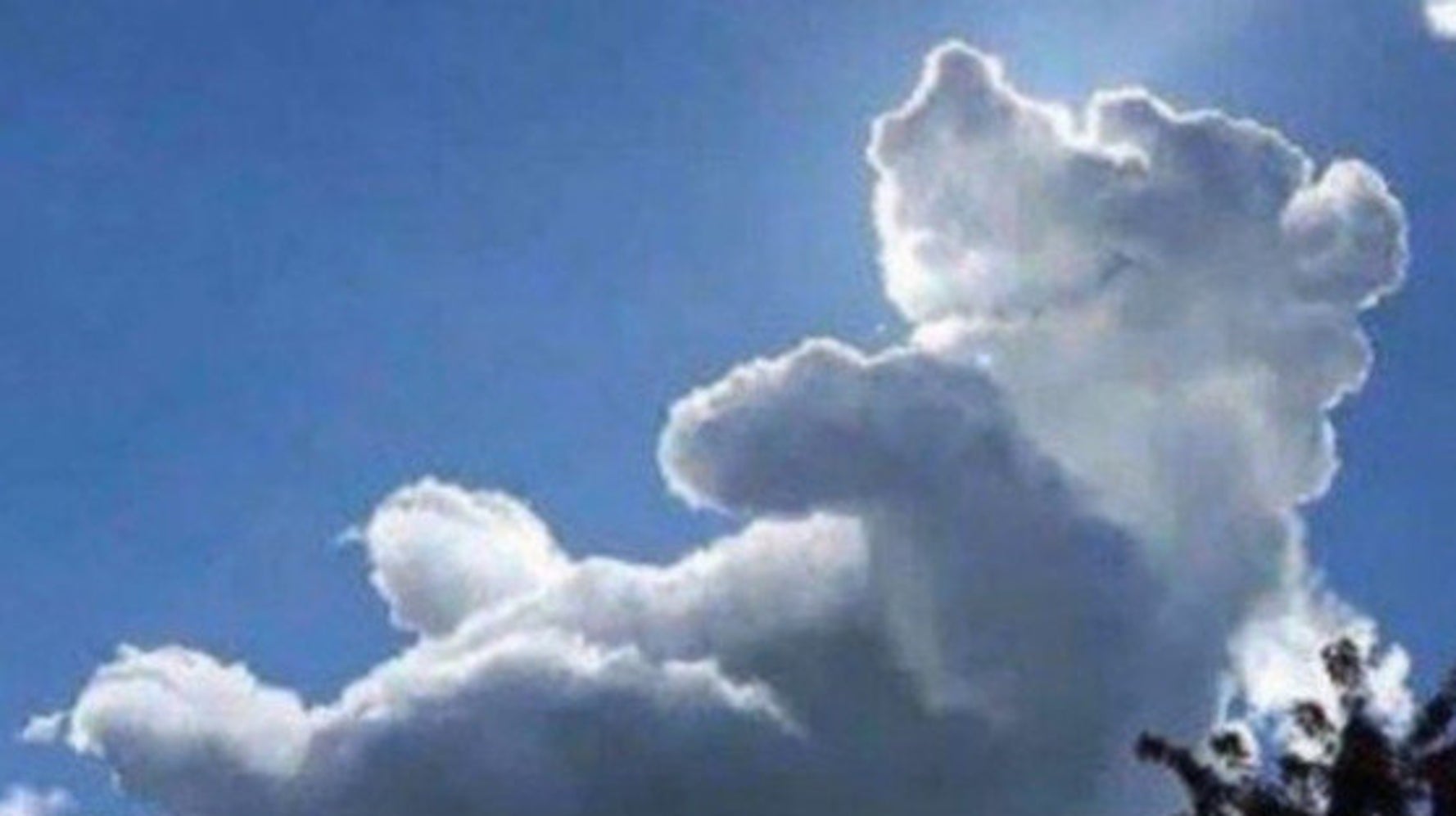 クマのプーさんそっくりな雲が出現 世界中で話題に ハフポスト News