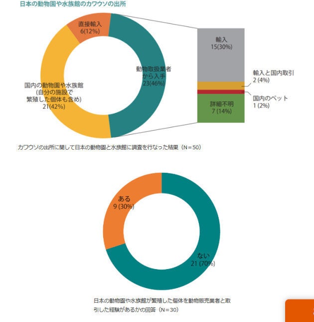 WWF Japan