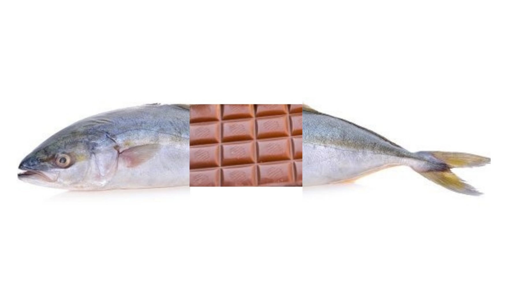 チョコブリって何 チョコを食べて育ったブリを愛媛県が開発 気になるお味は ハフポスト チョコブリって何 チョコを食べて育ったブリを愛媛県が開発 気になるお味は ハフポスト