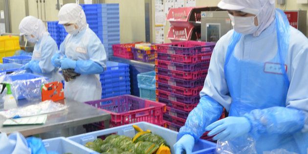 食品加工工場で作業するベトナム人の技能実習生＝埼玉県加須市