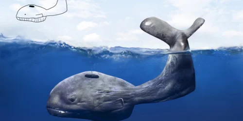 KUSAMA落書き　「子供の頃のマンガ」 5c63aaf8250000be00c85703.jpeg?