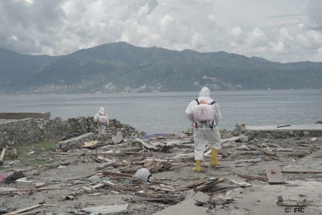 感染症を防ぐために津波の跡地で殺虫作業を行うインドネシア赤ボランティア