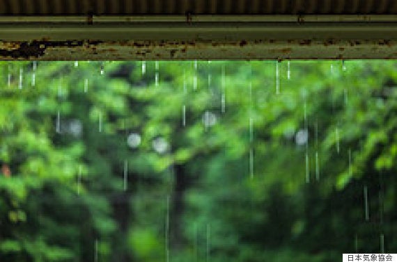 日本人は 梅雨 つゆ が好き こんなにたくさんある 梅雨 がつく季語 ハフポスト